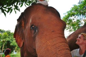 Voir des éléphants heureux au GaneshaPark