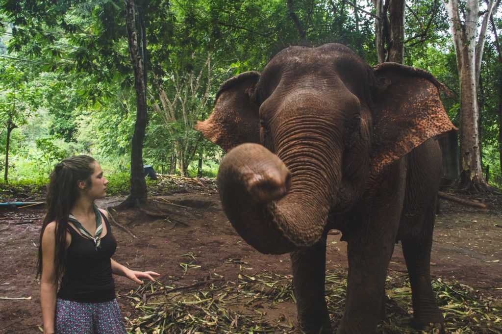Voir des éléphants heureux au Ganesha Park. Nous ne pouvons que vous conseillez de vous rendre au Ganescha Park