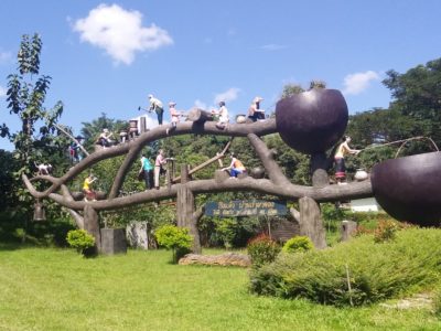 https://objectifthailande.com/rencontrer-les-elephants-heureux-du-elephant-steps-chiang-rai/