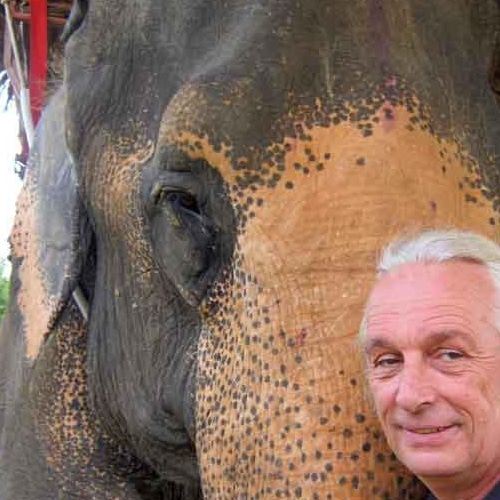 Voir des éléphants heureux au Ganesha Park. Nous ne pouvons que vous conseillez de vous rendre au Ganescha Park