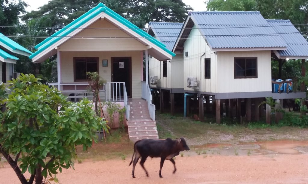 Thalé Noi : la petite mer intérieure ornithologique de Phatthalung