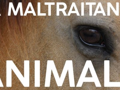 Maltraitance animale