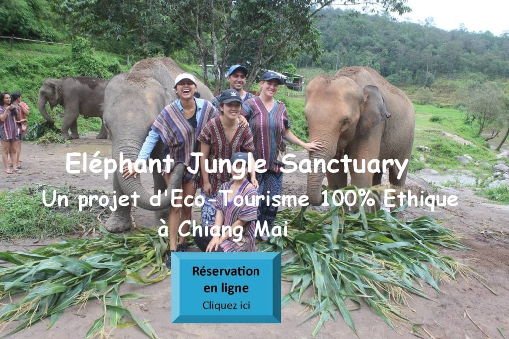 Elephant jungle Sanctuary Chiang Mai