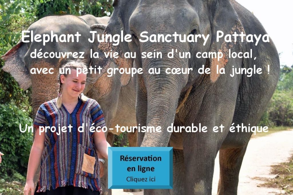 Eléphant Jungle Sanctury Pattaya