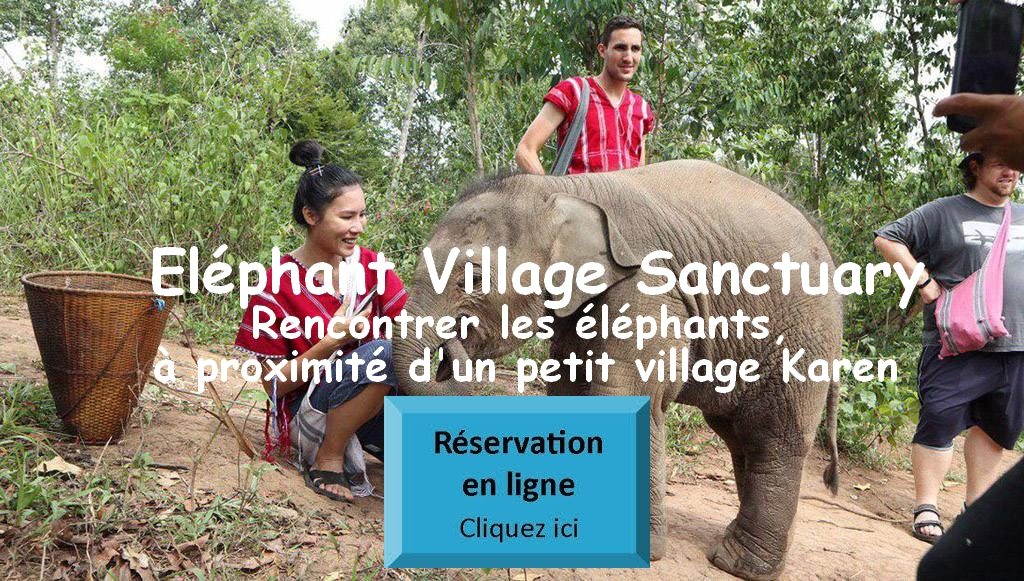 Eléphant Village Sanctuary Chiang Mai