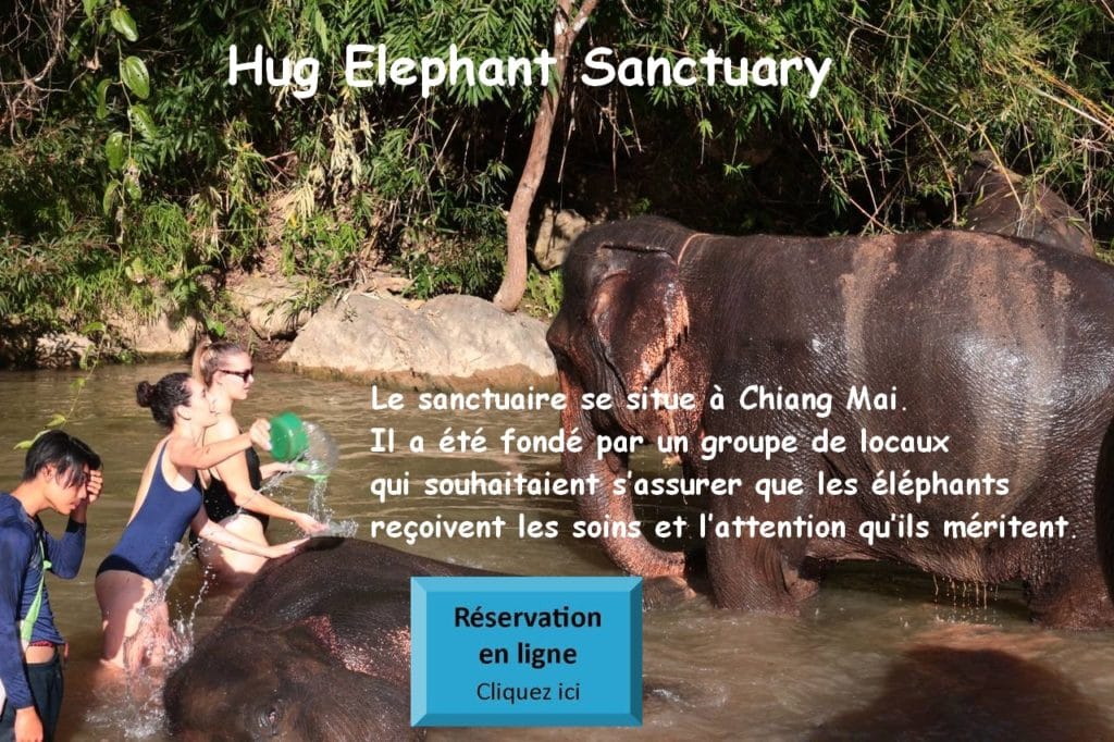 Hug Elephant Sanctuary Chiang Mai