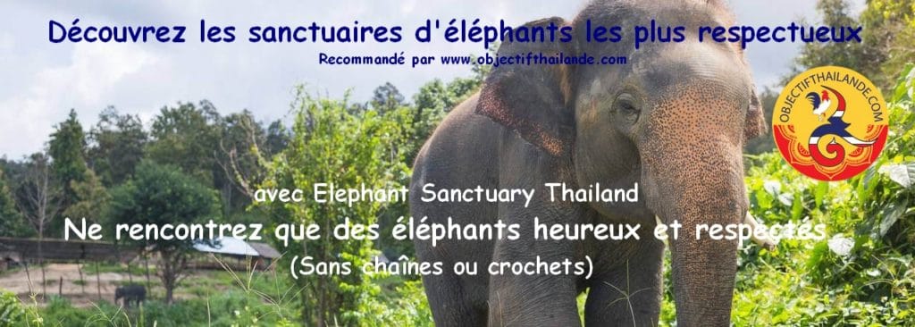 Les sanctuaires d'éléphants les plus respectueux en Thailande