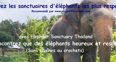 Les sanctuaires d'éléphants les plus respectueux en Thailande