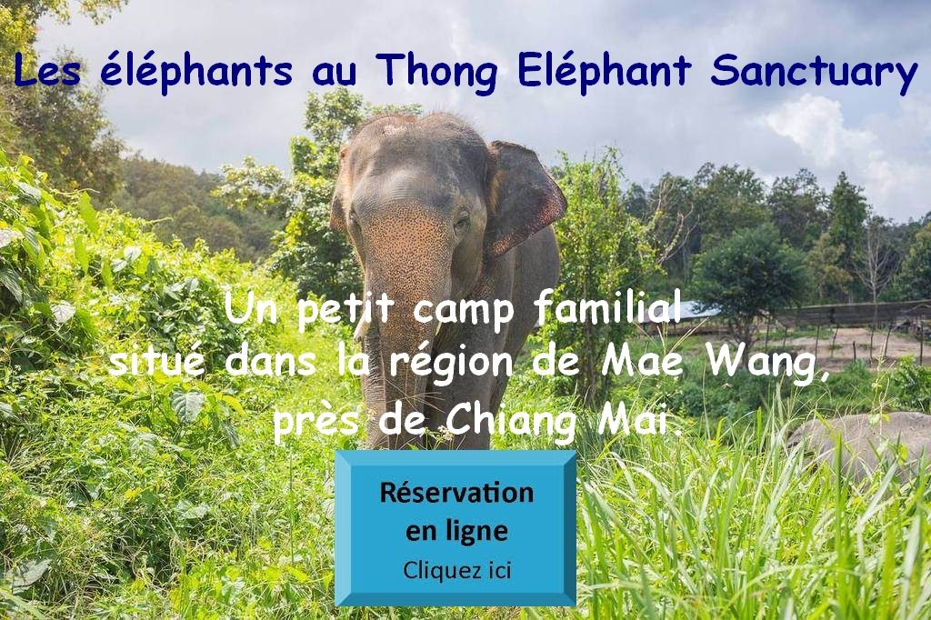 Thong Eléphant Sanctuary Chiang Mai