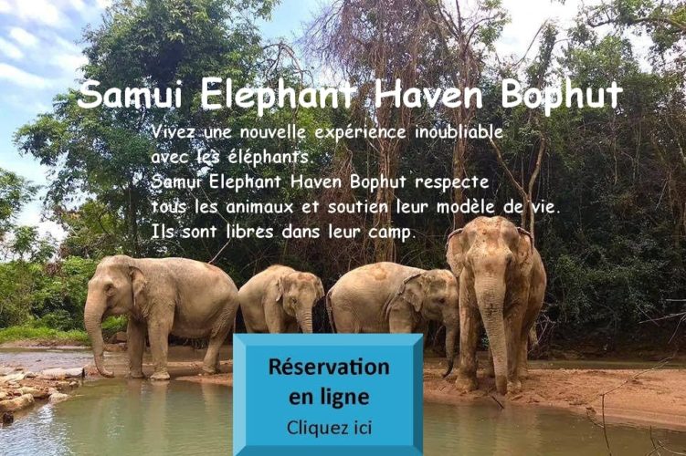 Samui Elephant Haven Bophut